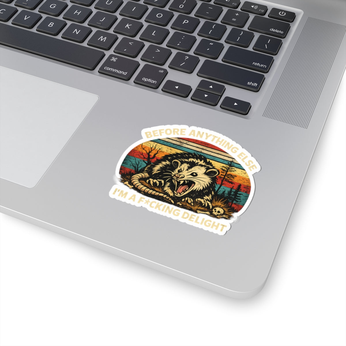 Before anything else Im a Fucking Delight Sticker, First of All I'm a Delight, Funny Stickers for Laptop, Water Bottle, Kindle, Sarcastic,