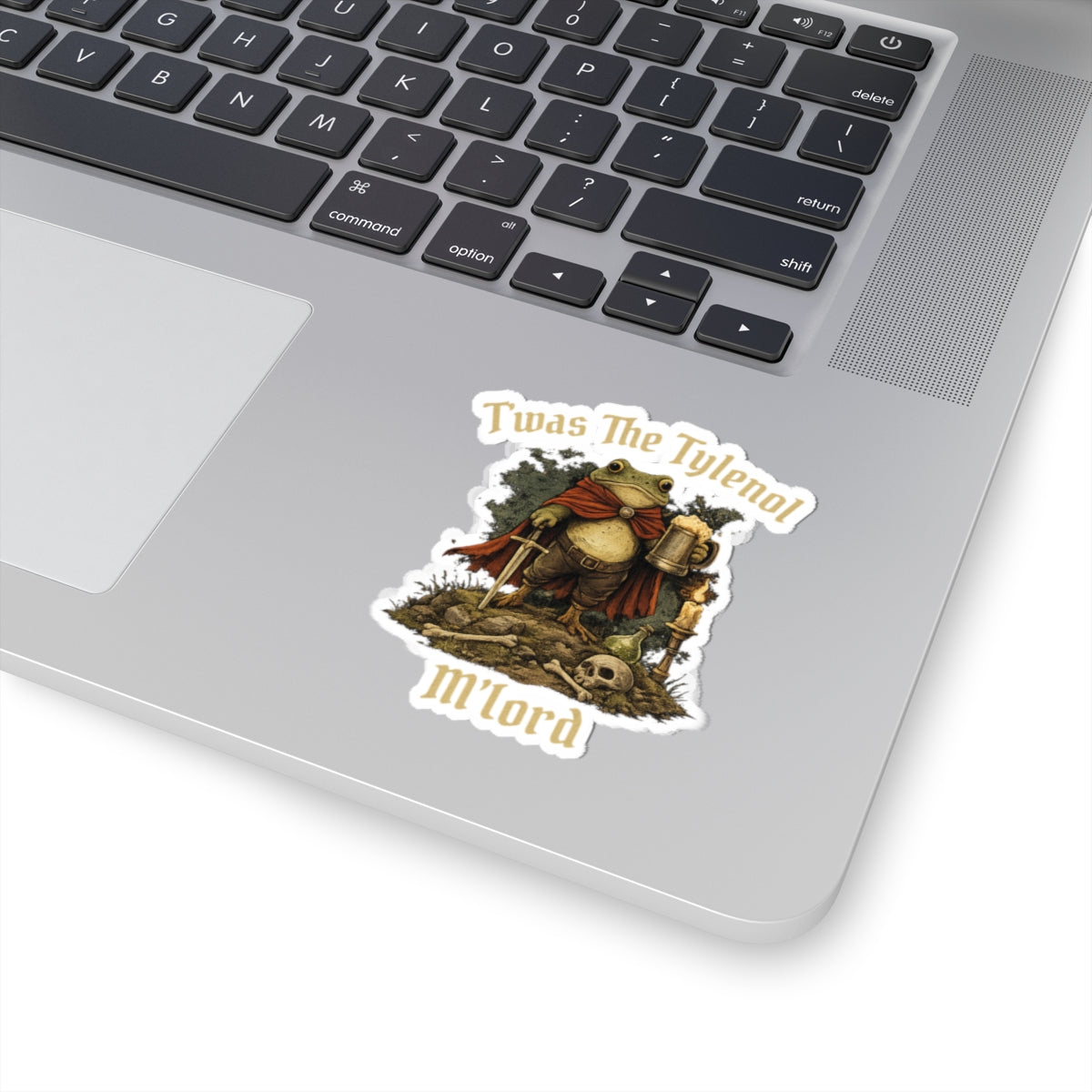Twas The Tylenol M Lord Stciker, Funny Possum Sticker for Laptop, Water Bottle, Kindle, Sarcastic, Cute Animal Stickers, Funny Vinyl Decal