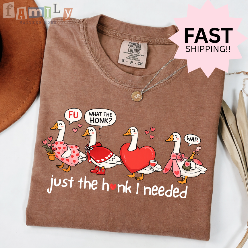 Just the Honk I Needed Shirt, Funny Goose Valentines Shirt, Comfort Colors Tee, Inappropriate Aba Shirt, Offensive Stupid Unwearable Shirt