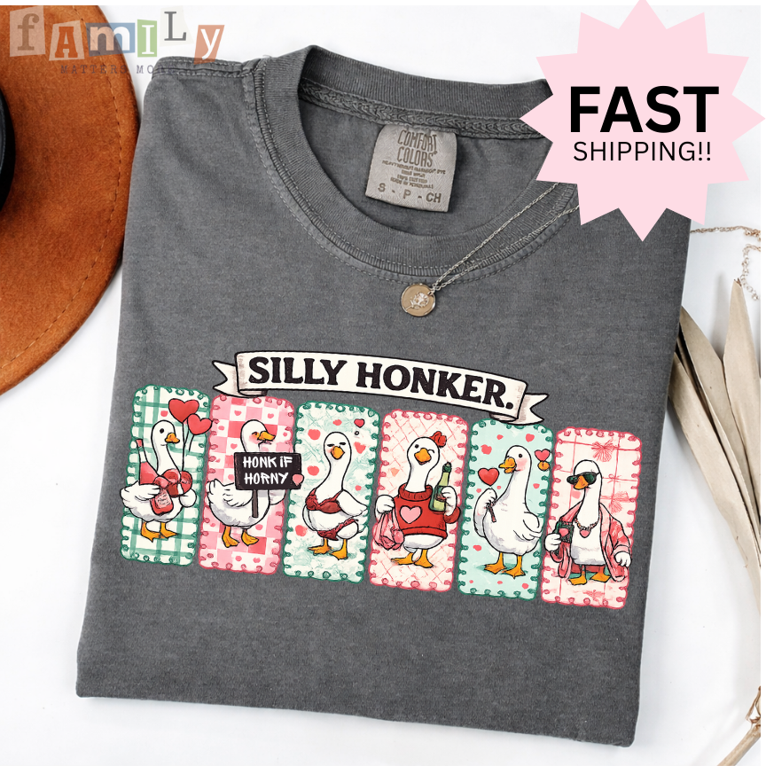 Silly Honker Shirt, Funny Goose Valentines Shirt, Comfort Colors Tee, Inappropriate Aba Shirt, Offensive Stupid Unwearable Shirt