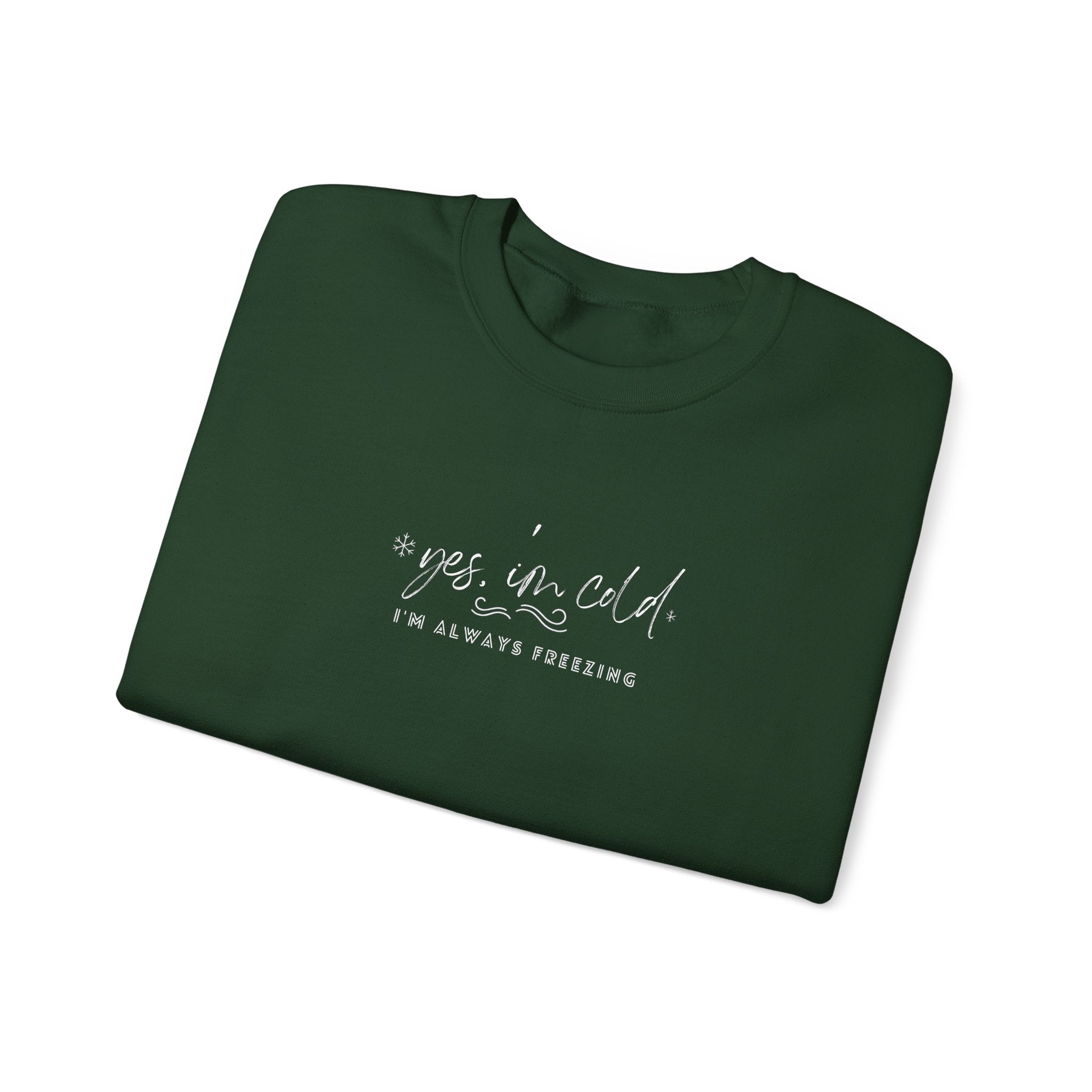 Yes I’m Cold Sweatshirt, Funny Winter Sweatshirt, Minimalist Cold Weather Sweater, Cozy Sweater Weather Shirt, Unisex Adult Youth Hoodie