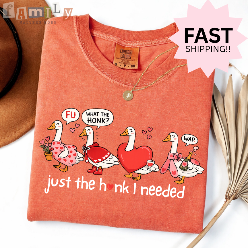 Just the Honk I Needed Shirt, Funny Goose Valentines Shirt, Comfort Colors Tee, Inappropriate Aba Shirt, Offensive Stupid Unwearable Shirt