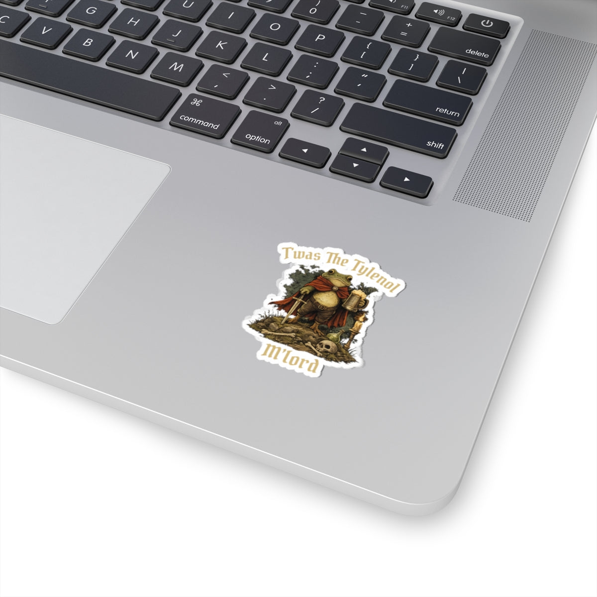 Twas The Tylenol M Lord Stciker, Funny Possum Sticker for Laptop, Water Bottle, Kindle, Sarcastic, Cute Animal Stickers, Funny Vinyl Decal