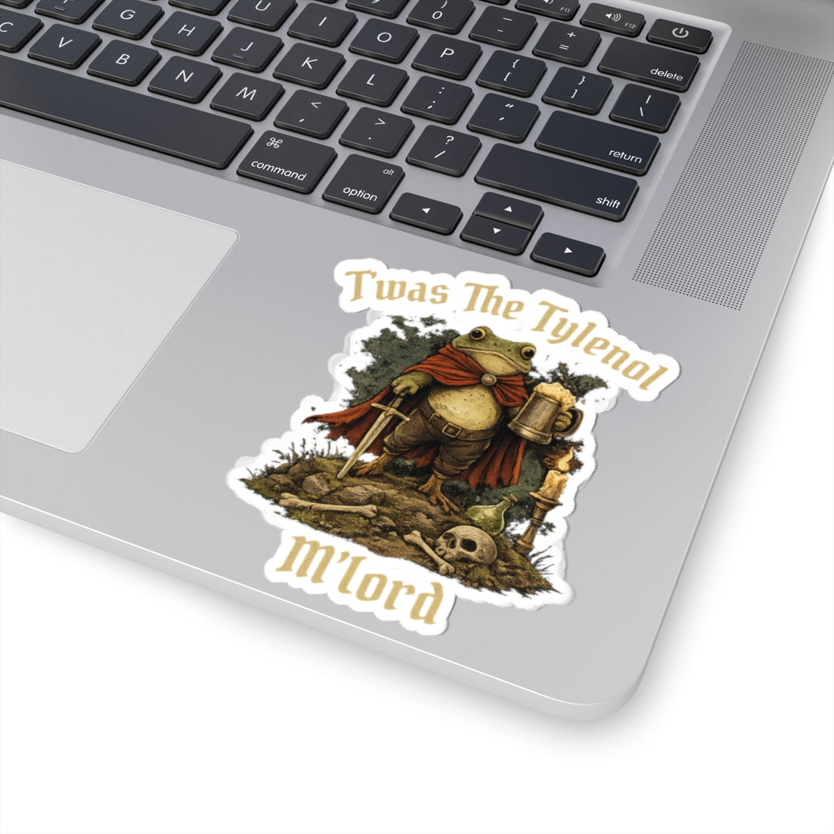 Twas The Tylenol M Lord Stciker, Funny Possum Sticker for Laptop, Water Bottle, Kindle, Sarcastic, Cute Animal Stickers, Funny Vinyl Decal
