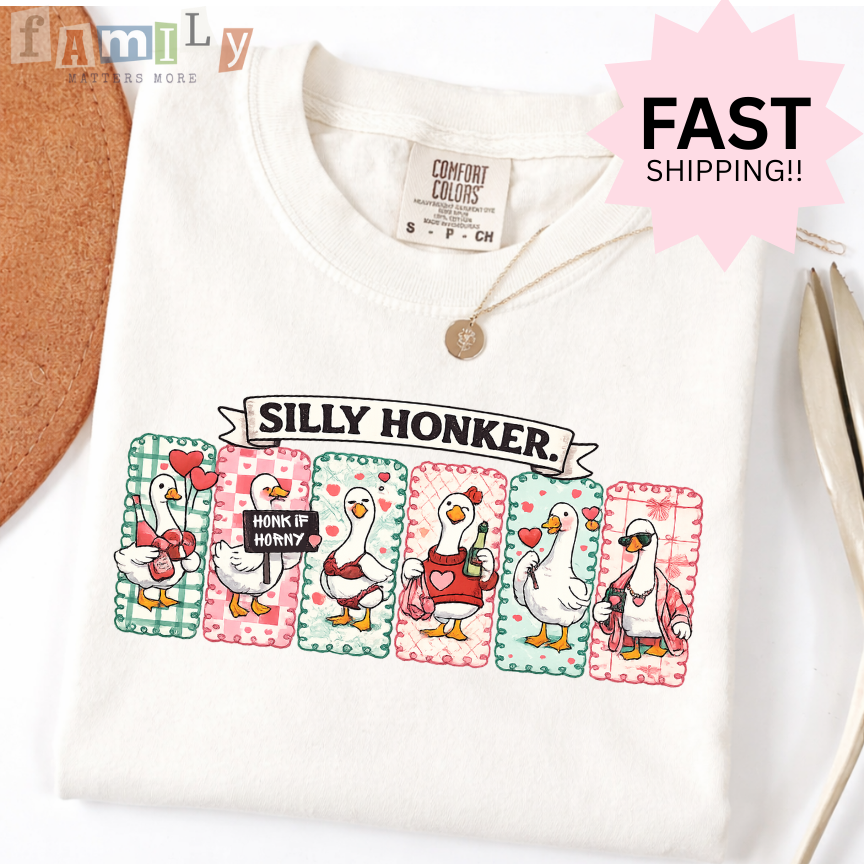 Silly Honker Shirt, Funny Goose Valentines Shirt, Comfort Colors Tee, Inappropriate Aba Shirt, Offensive Stupid Unwearable Shirt