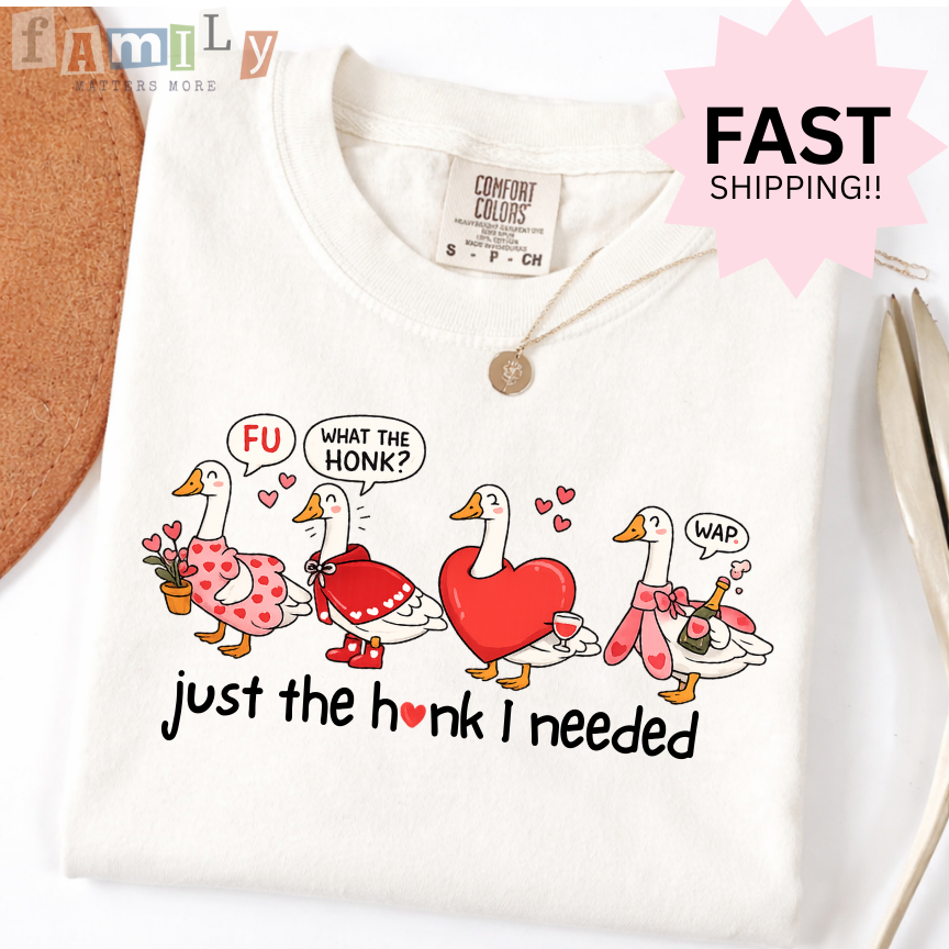 Just the Honk I Needed Shirt, Funny Goose Valentines Shirt, Comfort Colors Tee, Inappropriate Aba Shirt, Offensive Stupid Unwearable Shirt
