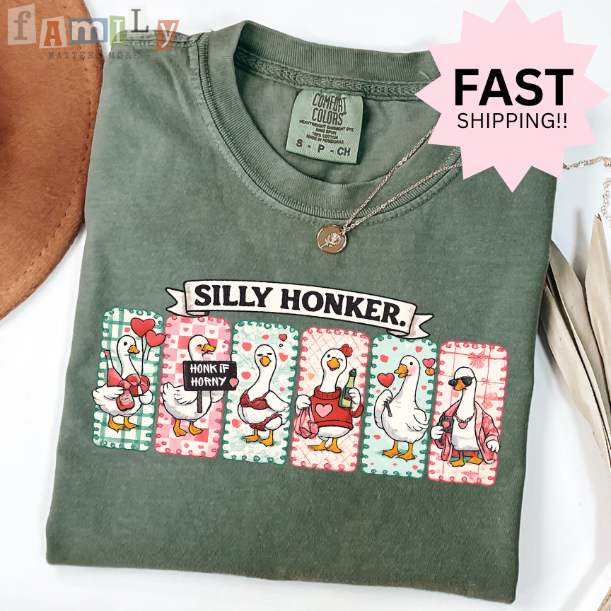 Silly Honker Shirt, Funny Goose Valentines Shirt, Comfort Colors Tee, Inappropriate Aba Shirt, Offensive Stupid Unwearable Shirt