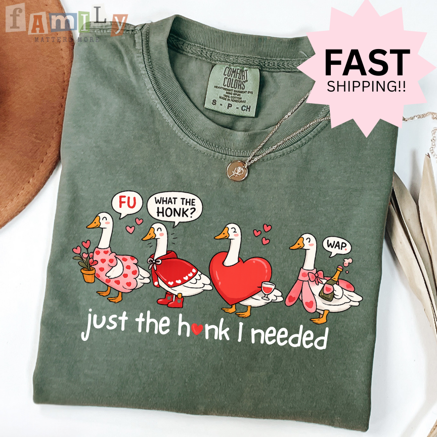 Just the Honk I Needed Shirt, Funny Goose Valentines Shirt, Comfort Colors Tee, Inappropriate Aba Shirt, Offensive Stupid Unwearable Shirt