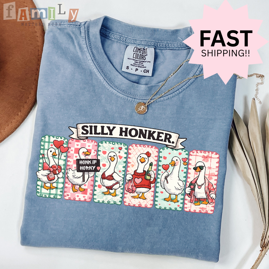 Silly Honker Shirt, Funny Goose Valentines Shirt, Comfort Colors Tee, Inappropriate Aba Shirt, Offensive Stupid Unwearable Shirt