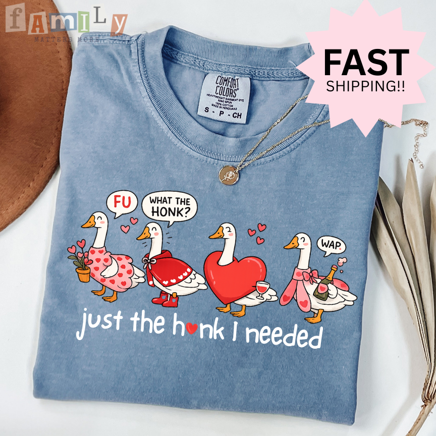 Just the Honk I Needed Shirt, Funny Goose Valentines Shirt, Comfort Colors Tee, Inappropriate Aba Shirt, Offensive Stupid Unwearable Shirt