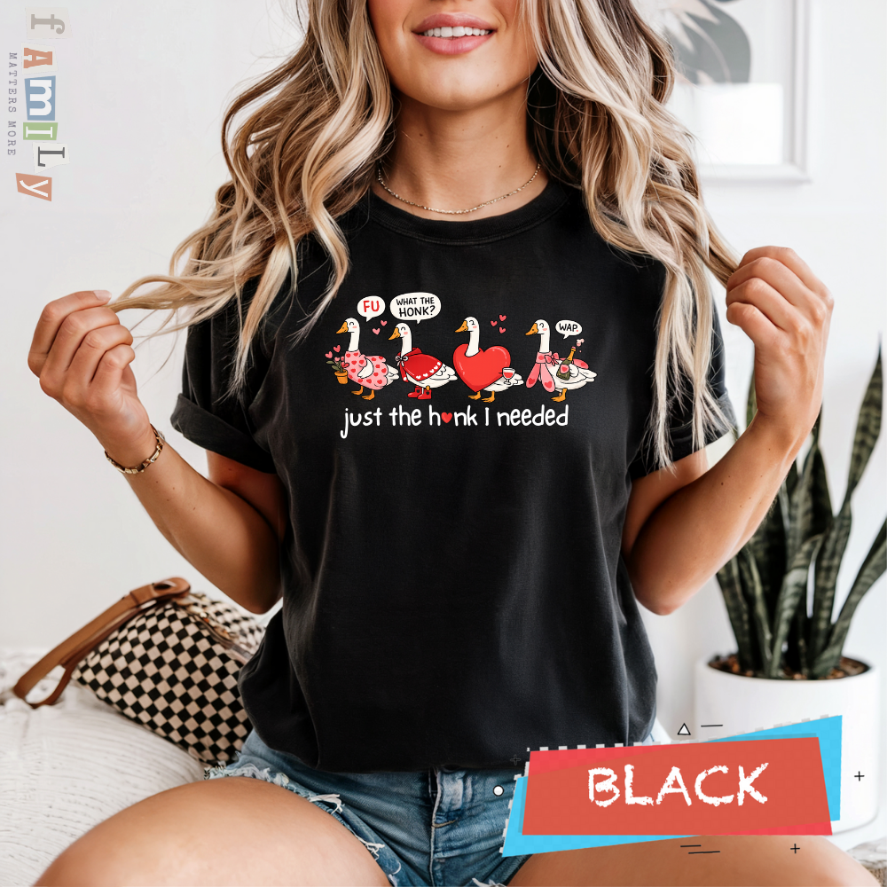 Just the Honk I Needed Shirt, Funny Goose Valentines Shirt, Comfort Colors Tee, Inappropriate Aba Shirt, Offensive Stupid Unwearable Shirt
