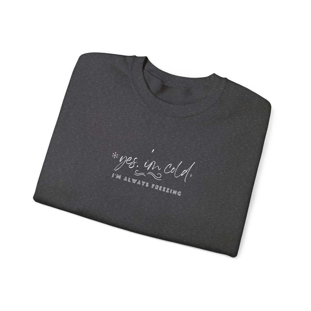 Yes I’m Cold Sweatshirt, Funny Winter Sweatshirt, Minimalist Cold Weather Sweater, Cozy Sweater Weather Shirt, Unisex Adult Youth Hoodie